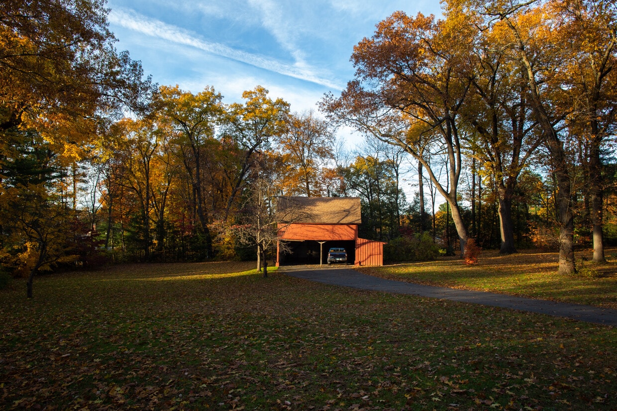 Back yard - 1 acre - 215 Highland St