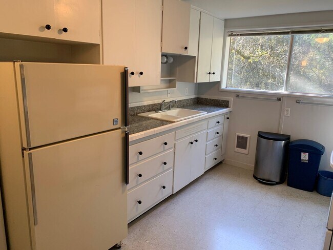 Building Photo - Private Forested Basement Unit