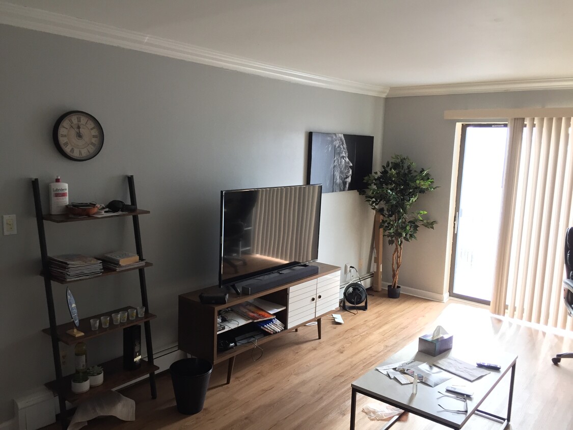 Living room - 540 Central Ave