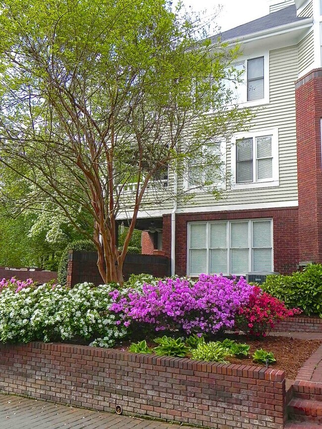 Foto del edificio - 2719 Selwyn Ave