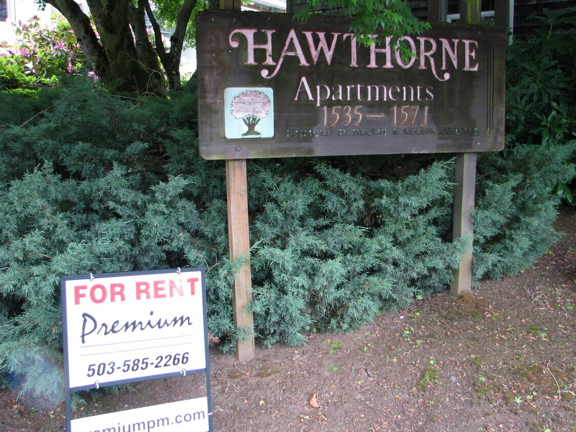 Primary Photo - One Bedroom Apartment Close to Downtown