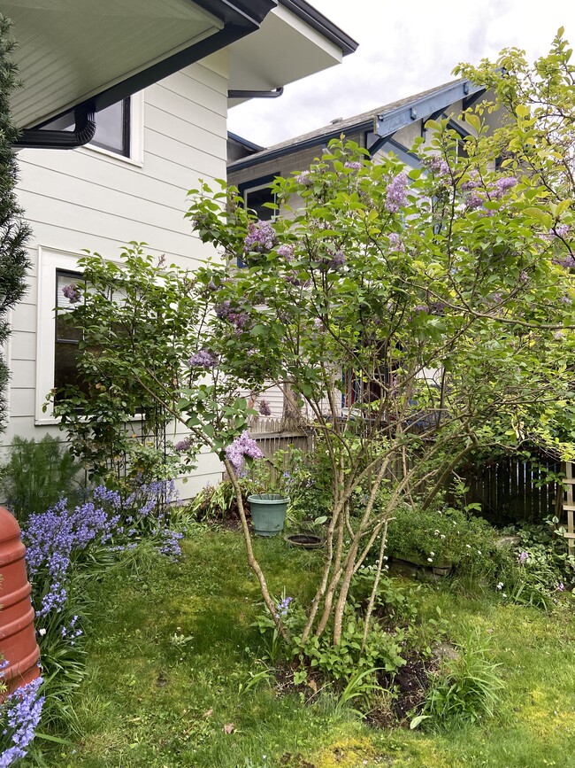 Foto del edificio - 5042 18th Ave NE