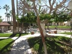 Primary Photo - 2240 S Elks Ln