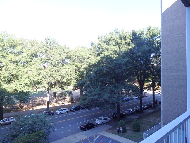 Tree tops and WA monument views - 800 4th St SW