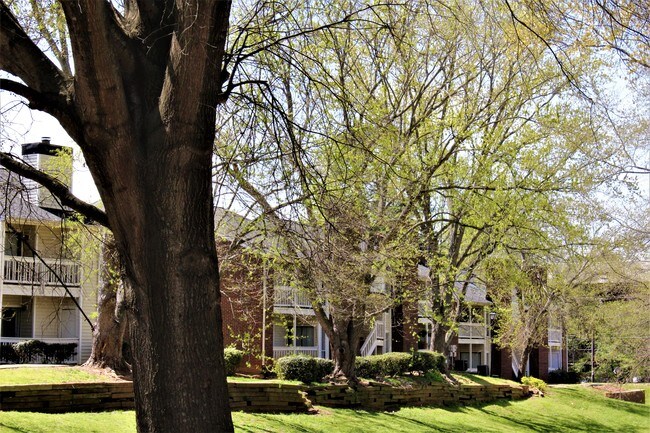 Foto del edificio - Creekside Canopy