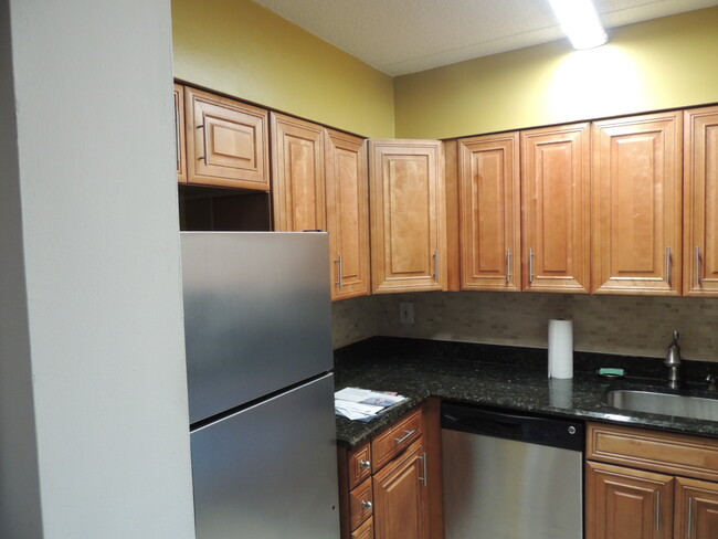 kitchen - 205 Mineola Blvd