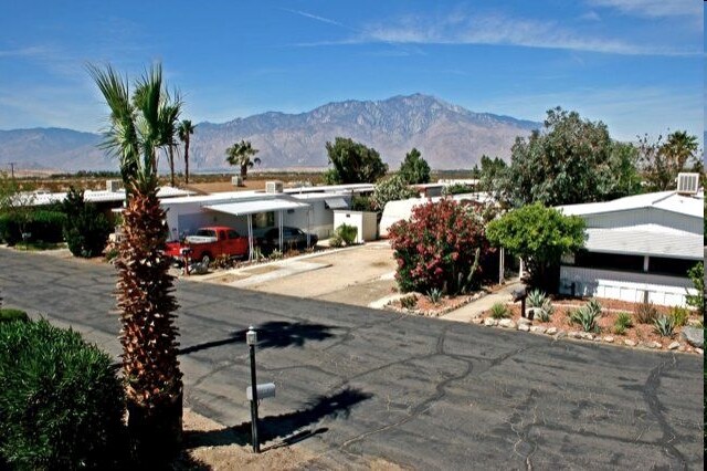 Building Photo - Desert Oasis