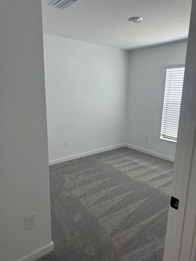 Building Photo - Charming 3BR House in Tampa