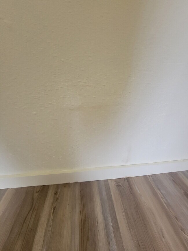 Foto del edificio - 207 Hickory Ave