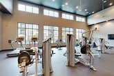Located at 16200 Croft Drive in Charlotte, NC, this well-appointed fitness center offers a comprehensive exercise environment spread across a single, generously sized floor. The space is defined by its soaring ceilings, which are accented by a dark-painted upper border that creates a striking architectural contrast against the neutral warm-toned walls below. Recessed lighting and pendant fixtures illuminate the interior, complementing the abundant natural light that pours in through a continuous bank of large, black-framed windows along the main wall — offering views of the surrounding community and pool area.

The flooring throughout is durable, dark rubber fitness flooring, practical and purpose-built for heavy equipment use. The exercise room is comprehensively equipped with a wide array of Hoist-branded strength training machines, as well as cardio equipment including ellipticals, stationary bikes, treadmills, a rowing machine, and a StairMaster. Full-length mirrors along one wall expand the sense of space and allow users to monitor their form. Additional features include an open shelving unit for storage, a wall-mounted television, and direct glass door access. The overall ambiance is modern, bright, and motivating — well-suited for a full range of fitness activities.