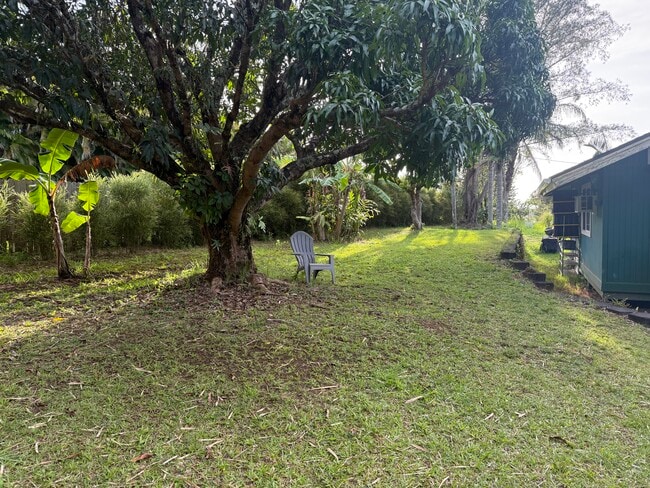 Yard space - 747 Pakanu St