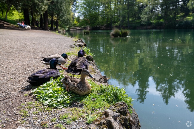 Laurelhurst Park was a popular swimming hole in the early 1900s.