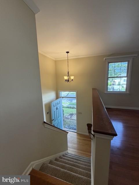 Foto del edificio - 917 Chowning Dr