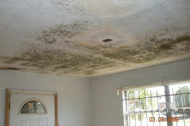 Foto del edificio - 4915 Arrowsmith Rd