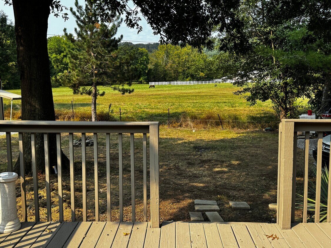 View from back deck - 165 Humphrey Ln