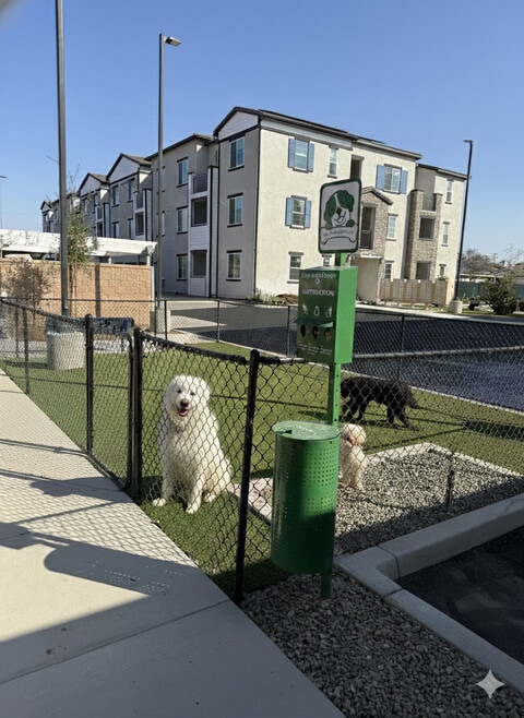 Building Photo - Gallery Park