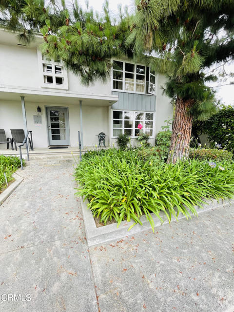 Building Photo - 210 Cedar Crest Ave