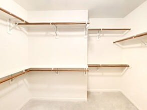 Building Photo - 54 Alderon Woods Pl