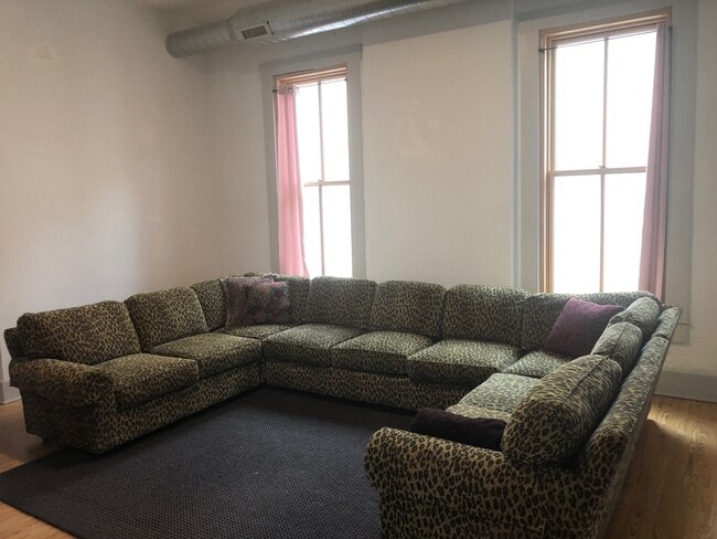 Living Room - 123 E 3rd St