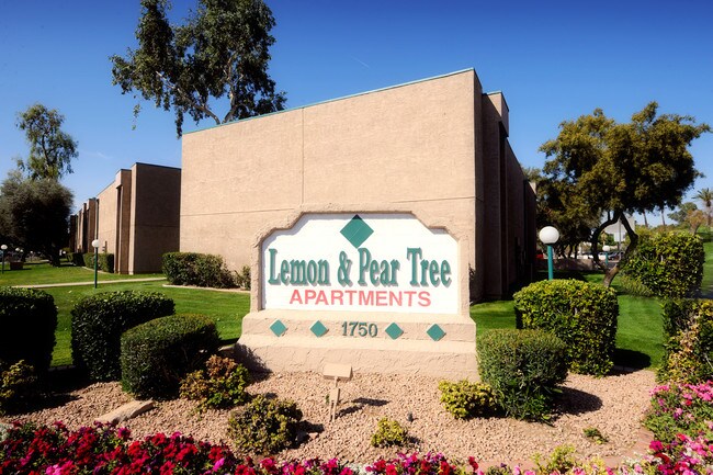 Lemon And Pear Tree Apartments Mesa Az Lemon And Pear Tree Apartments Mesa Az
