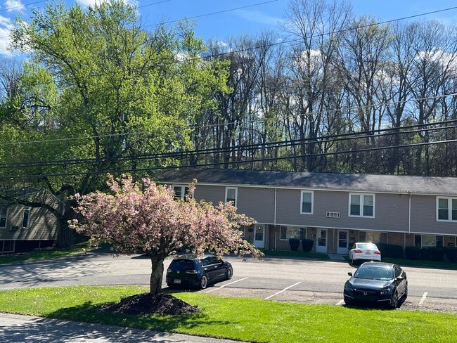 Building Photo - Shannon Hollow Apartments