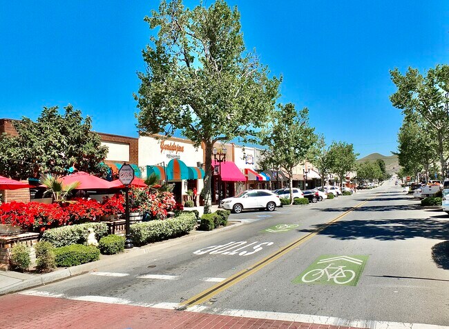 Thriving, Close Downtown! - 906 Helena Rdg