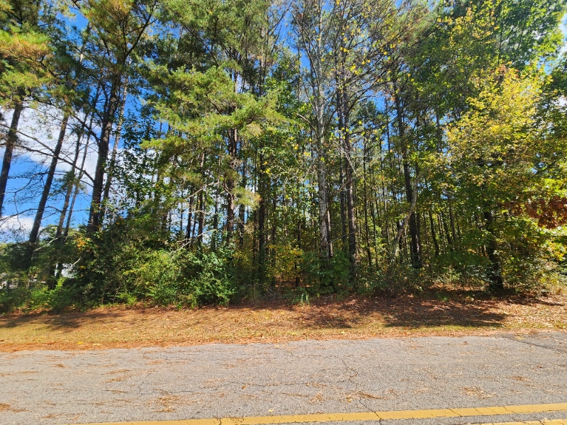 3730 Raceway Park Rd, Mount Olive, AL 35117 House Rental in Mount