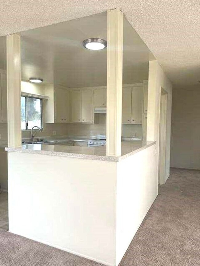Foto del edificio - Memorial Apartments- Spacious  Clean 2 Bed...