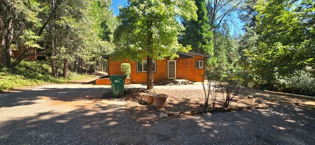 Foto del edificio - 3 bed 2 bath home surrounded by nature