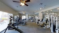 This fitness center offers a comprehensive workout environment designed to accommodate a variety of exercise routines. The single-floor layout provides ample space for both cardio and strength training, with the room organized to allow easy movement between equipment stations. A row of cardio machines — including ellipticals, treadmills, and stair climbers — lines one side of the facility, while a selection of weight machines and benches occupies the opposite area, catering to full-body strength training needs. Large floor-to-ceiling mirrors are mounted along the walls, enhancing the sense of openness and allowing users to monitor their form during workouts. The ceiling features dual ceiling fans that promote air circulation throughout the space, complemented by track lighting that ensures the room is well-lit at all times. A textured ceiling adds a subtle architectural detail overhead. Carpeted flooring runs throughout the facility, providing a practical and comfortable surface underfoot. Natural light filters in through windows along the far wall, contributing to an inviting and energizing atmosphere. Overall, the fitness center is thoughtfully arranged to support an effective and comfortable exercise experience.