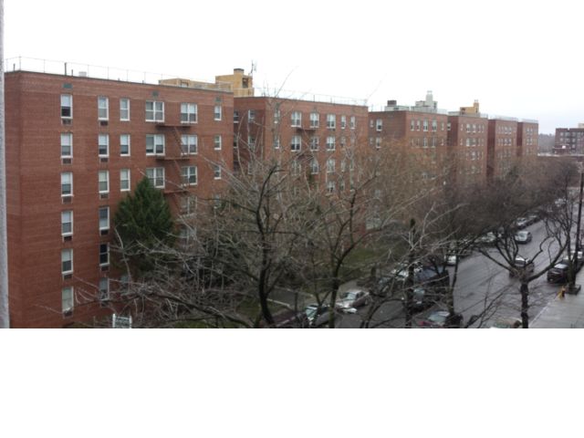 Primary Photo - 3301 Nostrand Ave