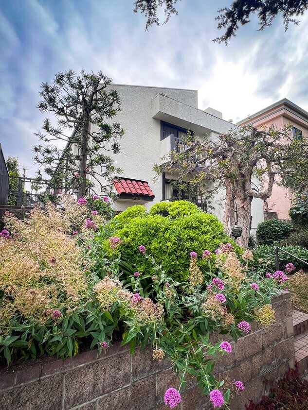 Primary Photo - Spacious, Two-Story Townhouse In Prime San...