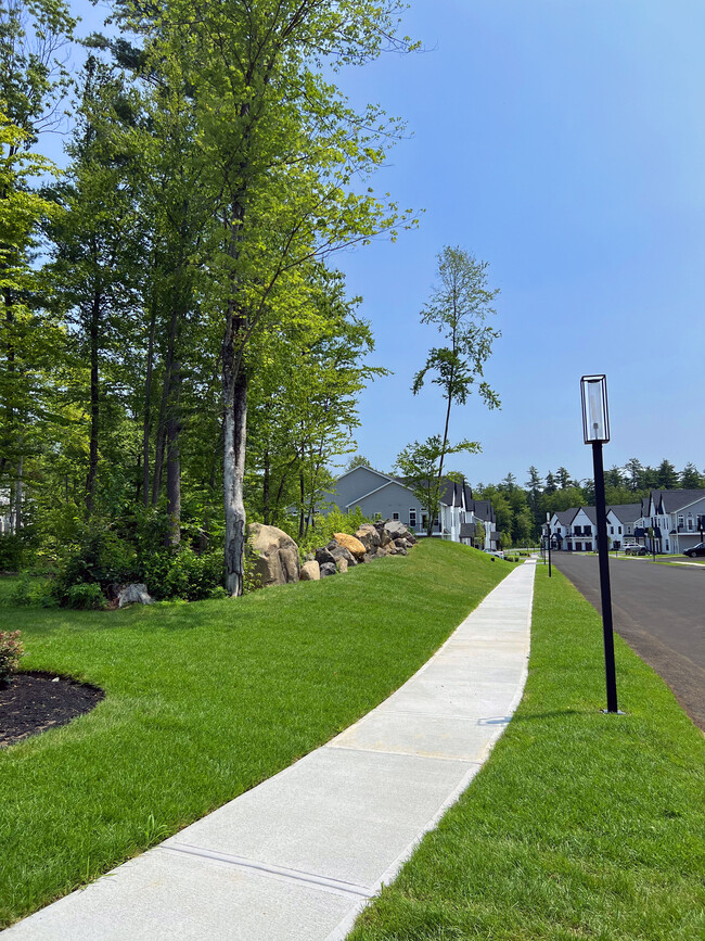 Building Photo - Elements at Saratoga Lake