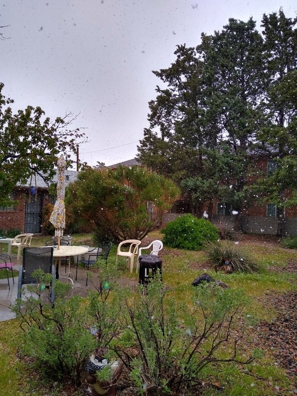 Building Photo - 515 Valencia Dr SE