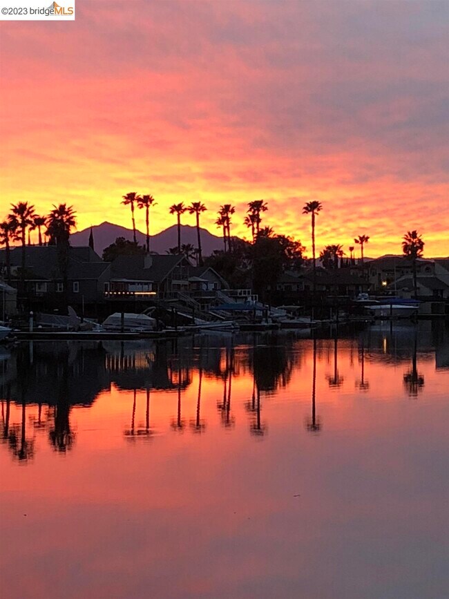 Building Photo - 1372 Discovery Bay Blvd