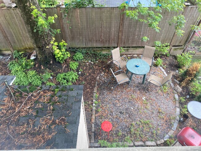 Back Yard - 47 Saint James Ave
