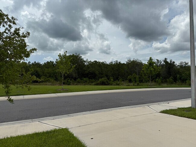Building Photo - 2642 Angel Falls Dr