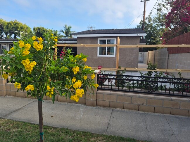 Nature's touch - 901 E Occidental St (Santa Ana, CA) House
