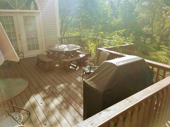 Deck w Gas Grill - 9321 Pennywise Ln