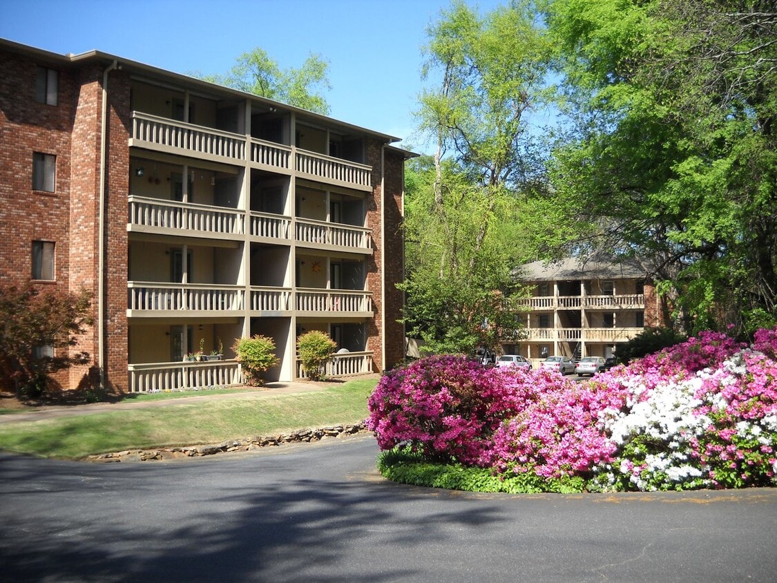 Primary Photo - Tall10Rental