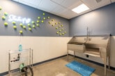 This single-room pet grooming wash station is thoughtfully designed to provide a functional and welcoming environment for pet bathing and care. The room is finished with a two-tone wall treatment — a calming blue upper half paired with a clean white lower wainscoting — giving the space a bright, hygienic appearance. The flooring is durable polished concrete, well-suited for wet conditions and easy cleaning.

At the center of the room sits a professional-grade stainless steel dog bathing tub equipped with a flexible spray hose and faucet fixtures, along with a slatted ramp to assist pets in entering and exiting safely. A blue paw-print bath mat is placed in front of the tub for added comfort and safety.

The walls are adorned with tennis balls arranged in a playful scattered pattern, adding a fun, pet-friendly aesthetic to the space. A neon sign further enhances the lively character of the room. A wire utility shelf stocked with grooming supplies is conveniently positioned nearby.

The room is accessed through a full-height glass door with a metal frame, offering visibility into the space and contributing to an open, airy feel. Overhead, a drop ceiling with recessed panel lighting and a ventilation grille ensures adequate illumination and airflow throughout the grooming area.