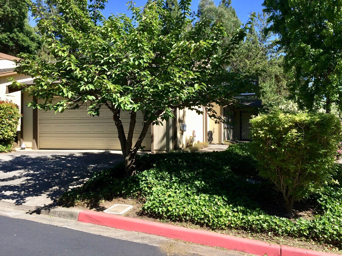 Primary Photo - 2405 Deer Tree Ct