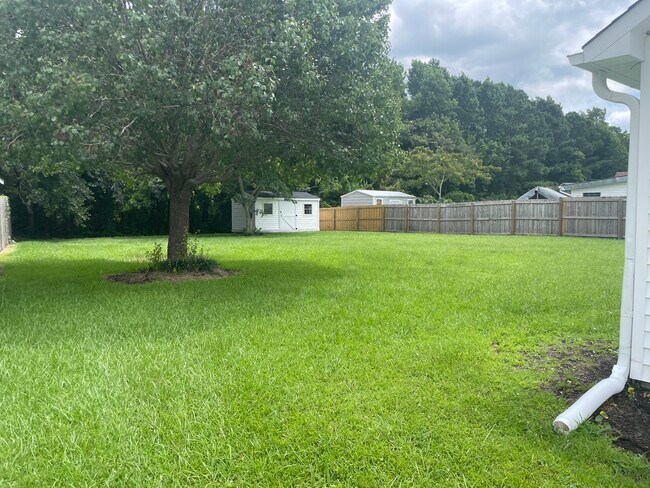 Backyard - 3315 Needle Rush Ct
