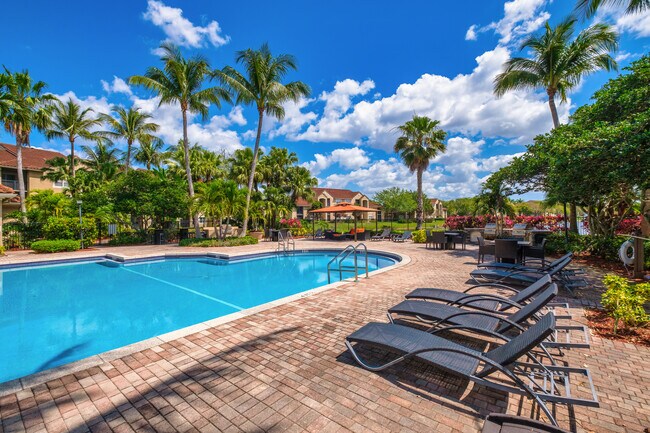Foto del edificio - The Palms at Davie