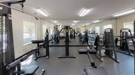 This fitness center is a single-floor facility designed to support a comprehensive workout experience. The space is outfitted with a variety of cardio equipment, including multiple treadmills and an elliptical trainer, alongside a robust selection of strength training machines — including PowerLine multi-station units and cable machines — providing options for both full-body and targeted muscle workouts. The rubber-matted flooring throughout offers both safety and durability underfoot, making it well-suited for high-traffic use. Large windows line the walls, allowing natural light to fill the room and offering views of the surrounding outdoor greenery, contributing to an open and energizing atmosphere. Full-length mirrors mounted along one wall visually expand the space and allow users to monitor their form during exercise. Overhead fluorescent lighting ensures the room remains well-lit at all times. A wall-mounted television is positioned for convenient viewing during workouts. The neutral, light-toned walls keep the aesthetic clean and functional. A glass-panel entry door and clearly marked exit signage reflect attention to accessibility and safety. Overall, this fitness center is a practical, well-maintained space that accommodates a wide range of fitness routines.