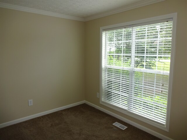 Building Photo - 1822 Alcovy Springs Ln