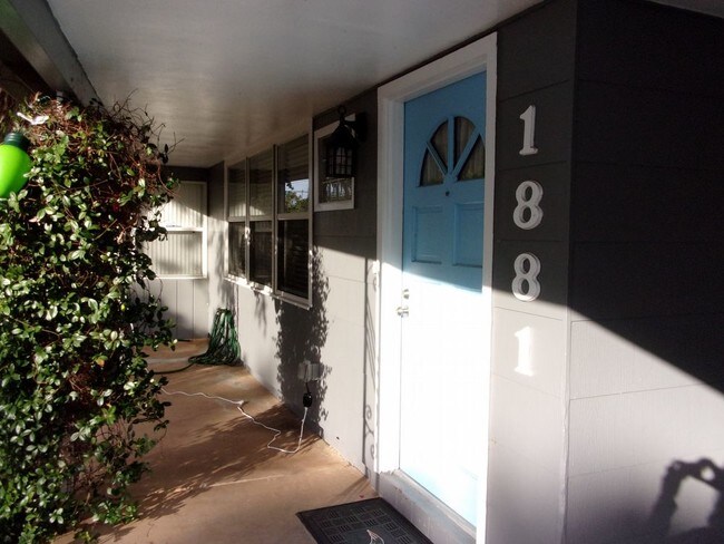 Building Photo - Dunedin Delight 2 Bed Home