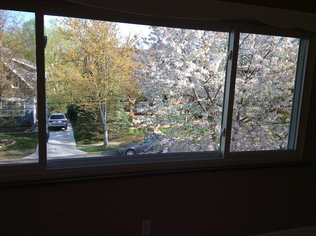 View From Livingroom - 20 Chalfonte Pl