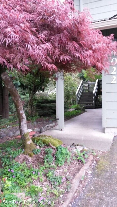 Primary Photo - 3 br, 2.5 bath House - 4022 Cedarbrook Ct