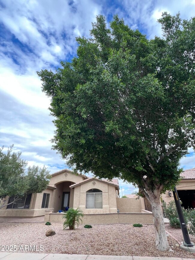 Building Photo - 4484 E Redfield Ct